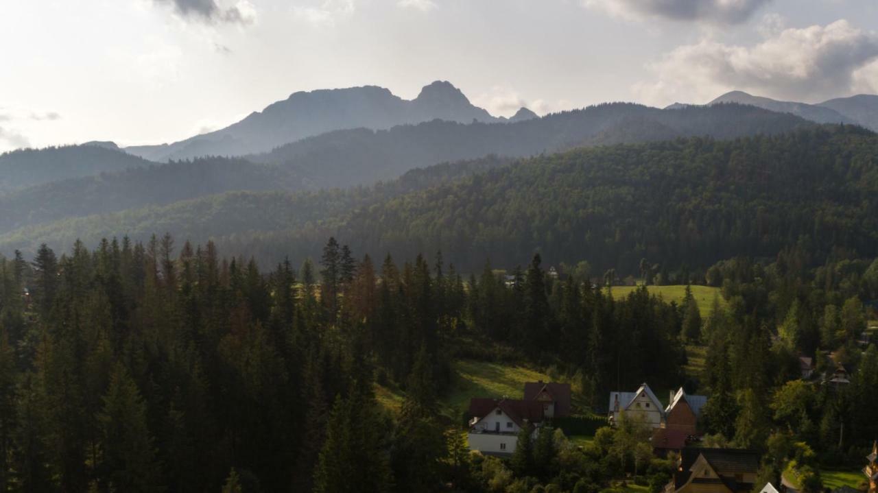 Willa Cichy Potok Zakopane Buitenkant foto